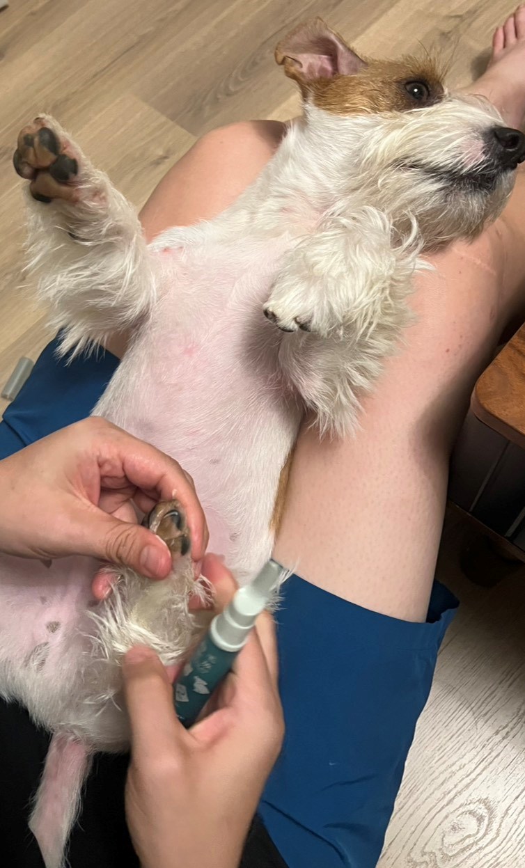 女人知己試用大隊,口碑行銷,部落客行銷,Goodmofamily歸毛家族 寵物肌膚救星組,歸毛家族 寵物肌膚救星,舒敏保濕洗毛乳,護膚噴液,精萃營養霜,博士30年生技專業,給足皮膚營養保護力,無抗生素 無類固醇,神經醯胺,19種綜合胺基酸,榮獲SNQ國家認證,上萬毛爸媽見證,3週幫助皮膚健康,NO.1寵物肌膚口碑霸主,寵物第一護膚領導品牌